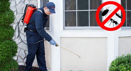 Süleymanpaşa Haşere İlaçlama böcek ilaçlama ve haşere kontrolü — ilaclama-tr.com